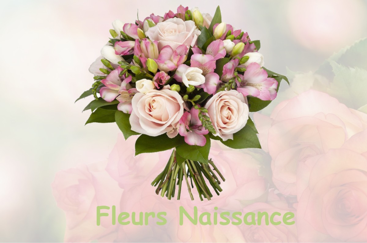 fleurs naissance BOUILLANCOURT-LA-BATAILLE